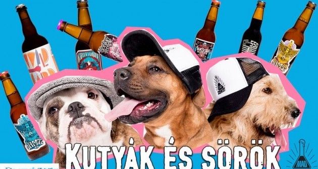Kutya és sör - fogadd örökbe, egy rekesz sör jár hozzá!