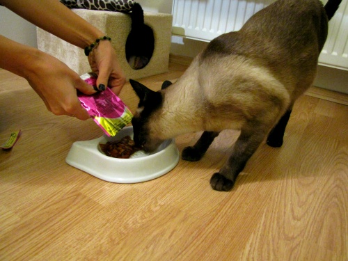 whiskas_tal