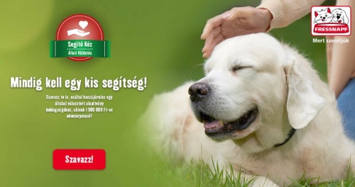 segitokez