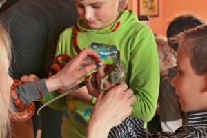 TURÁ-ZOO: mini állatkert, ami házhoz megy