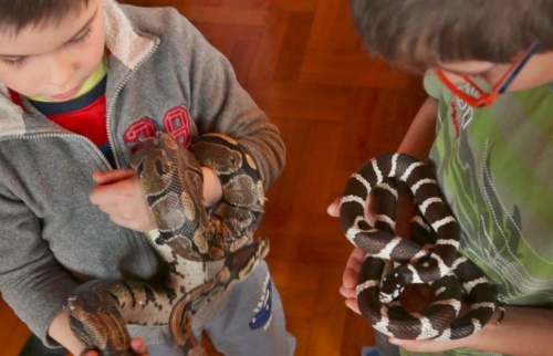 turazoo1