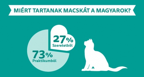 macskatartas1