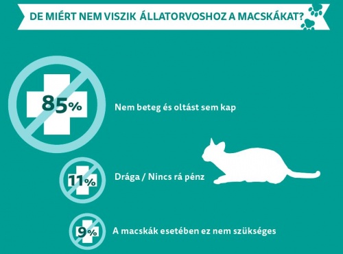 macskatartas2