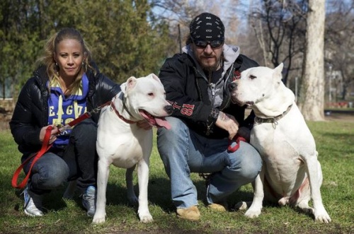 gangxta_argentindog