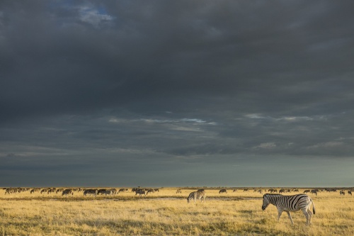 cs-011216-namibia_rx10-207