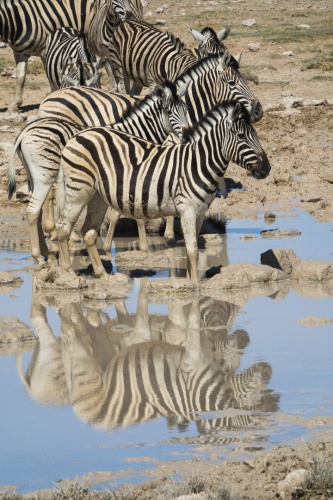 cs-011216-namibia_rx10-216