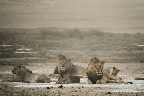 cs-011216-namibia_rx10-239_1