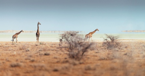 namibia