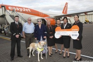 Joey, a vakvezető labrador törzsutas lett egy légitársaságnál