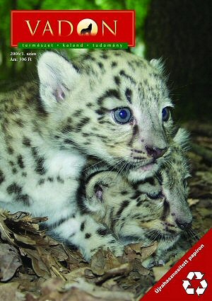 Vadon magazin - a süni váltótársa