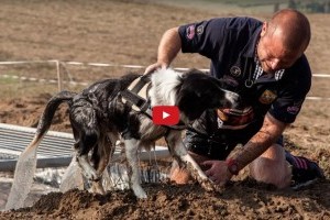 Elég kemény vagy? Jön a Hard Dog Race 2.0