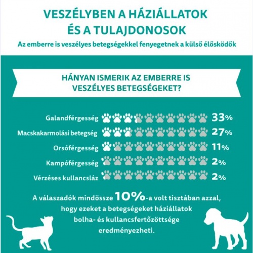 veszelyben1