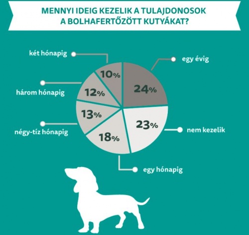veszelyben3