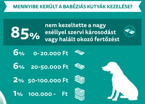 veszelyben4