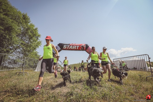 vizslafotozas_20170603104725-rm2a0489