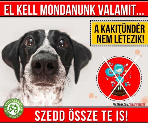 kakitunder