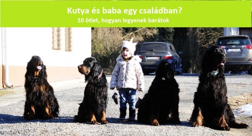 gyerek_es_kutya