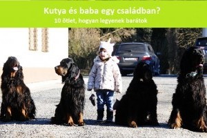 10 ötlet, hogyan legyenek kutya és gyerek barátok