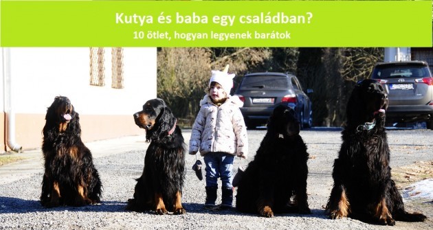 10 ötlet, hogyan legyenek kutya és gyerek barátok