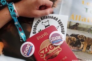 Sziget Fesztiválon is keresd az állatvédőket