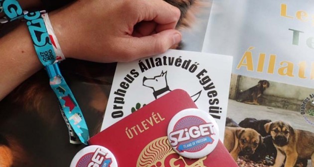 Sziget Fesztiválon is keresd az állatvédőket