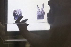 Csimpánzoknak tanították meg a kő-papír-olló játékszabályait japán kutatók