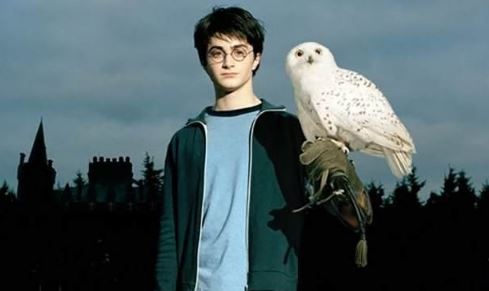potterbagoly