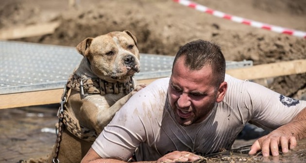 A Hard Dog Race Lengyelországban lép először nemzetközi porondra