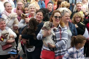 Közel ezren vettek részt az V. örökbefogadott Állatok Napján