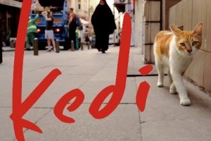 Filmajánló nem csak macskásoknak: Kedi-Isztambul macskái