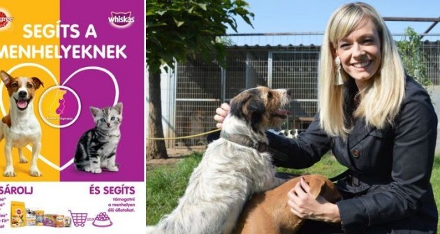 Ezekkel az állateledelekkel segíthetsz Te is a menhelyeknek