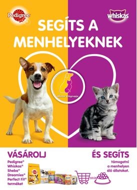 menhely_kampany