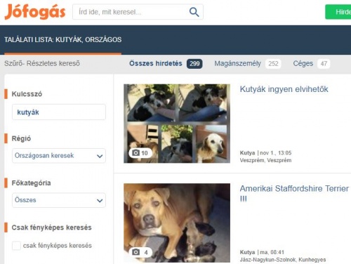 kutyahirdetes1