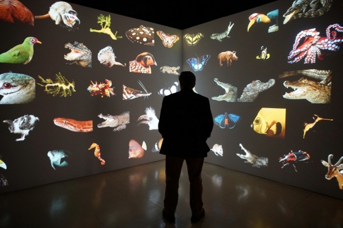 joelsartore_photoark_2