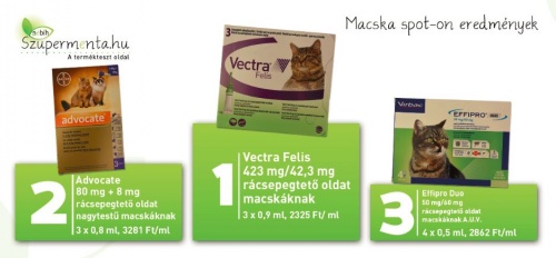 macska_spoton