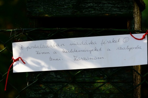 cinege_kolt1_01