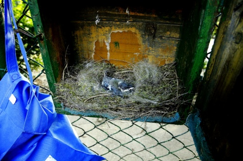 szencinke_postalada