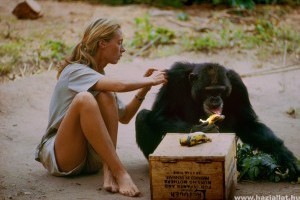 Soha nem látott felvételekkel jön a Jane Goodall életéről szóló film