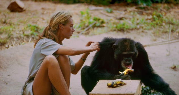 Soha nem látott felvételekkel jön a Jane Goodall életéről szóló film