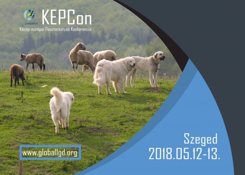 kepkon