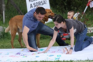 Az ivartalanítás és az örökbefogadás a fő témák a második Felelős Állattartás Napján