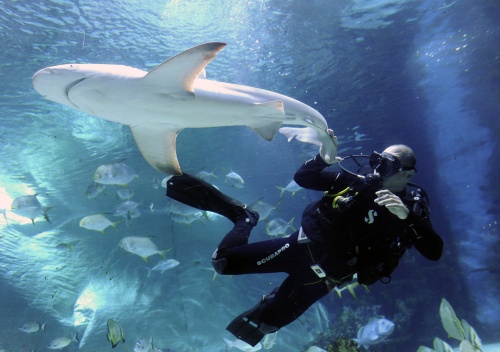 capa_tropicarium2