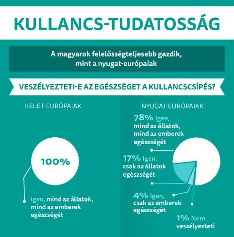 kullancs_tudat1