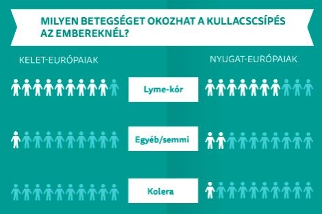 kullancs_tudat2