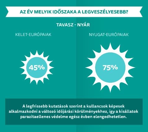 kullancs_tudat4