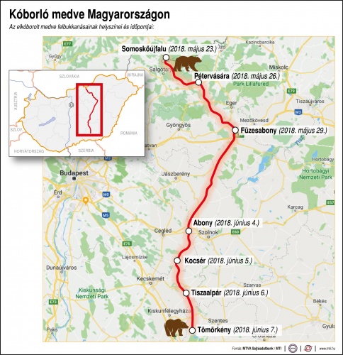 koborlo_medve_terkep