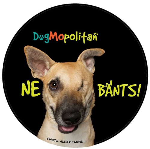 dogmopolitan1