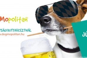 A felelős állattartásra fókuszál a DogMopolitan Kutyafesztivál