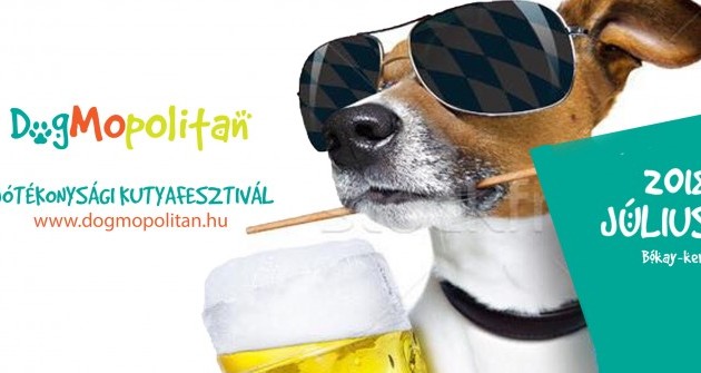 A felelős állattartásra fókuszál a DogMopolitan Kutyafesztivál
