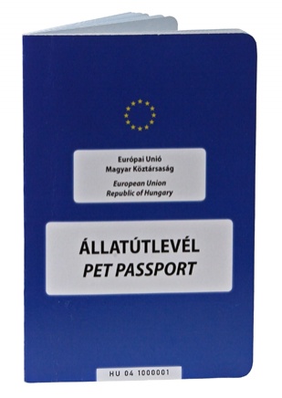 kutyautlevel